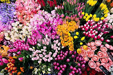 《刺客信条：影》部分媒体评分提前泄露 综分约在8分